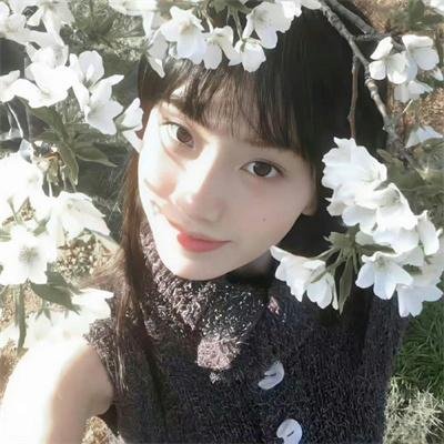 凸槌高材生封面
